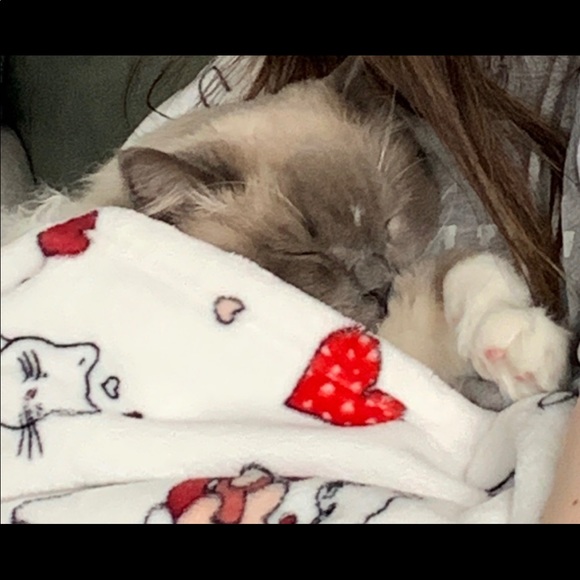 REBRANDING!! - Picture 7 of 13